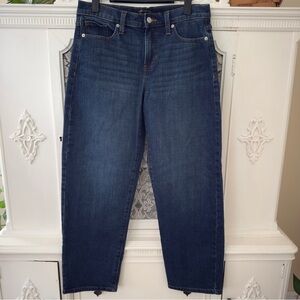 Banana Republic High Rise Dark Wash Barrel Jeans